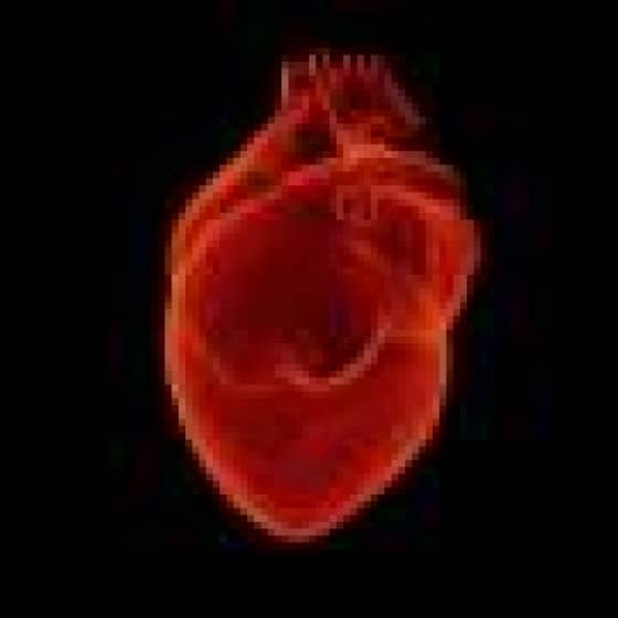  Virtual blood vessel technology could improve heart disease care