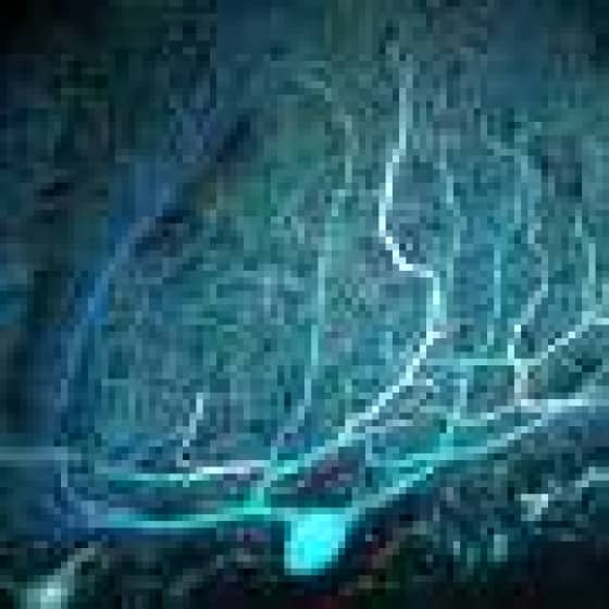 Complex brain cell connections in the cerebellum more common than believed