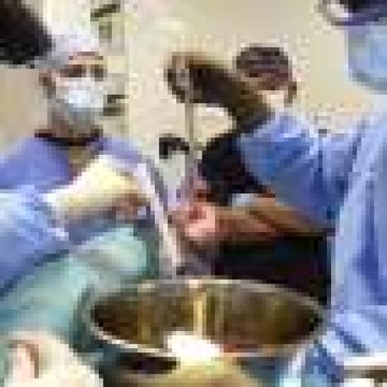  Surgeons perform second pig heart transplant, trying to save a dying man