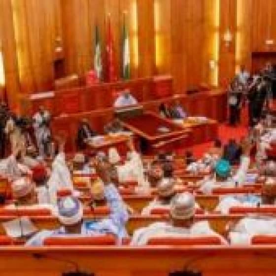  Senate Begins Hearing Of Bill To Fine Nigerians N50,000 For Failing To Send Children To School