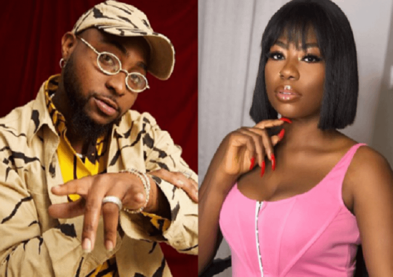  “Thought Davido Was A Responsible Father?” – Fan Asks Sophia Momodu, She Responds