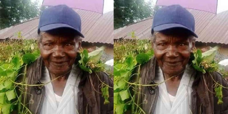 91-year-old Kenyan man who left home in search of greener pastures 50 years ago returns with only a walking stick