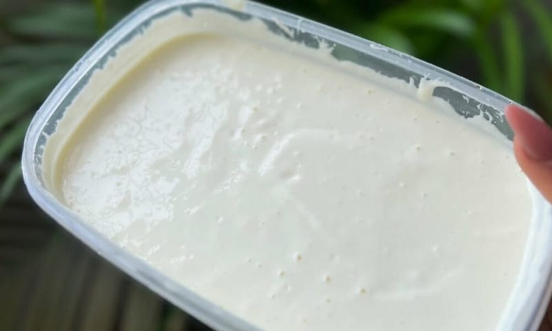 Whip Up Creamy Greek Yogurt at Home with Velvety Foodies’ 2-Ingredient Recipe
