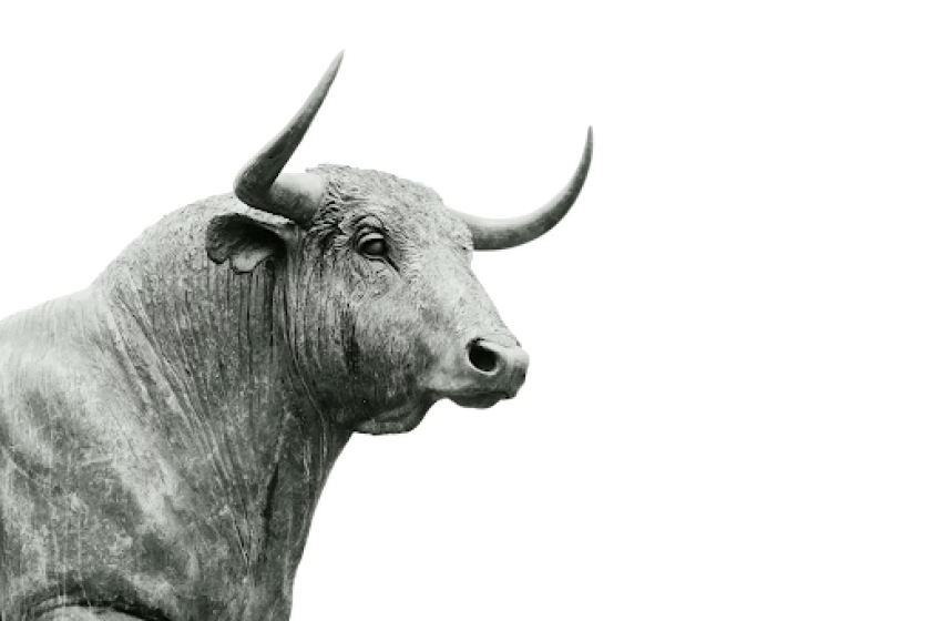  7 Best Altcoins To Buy Right Now Before The Next Crypto Bull Run