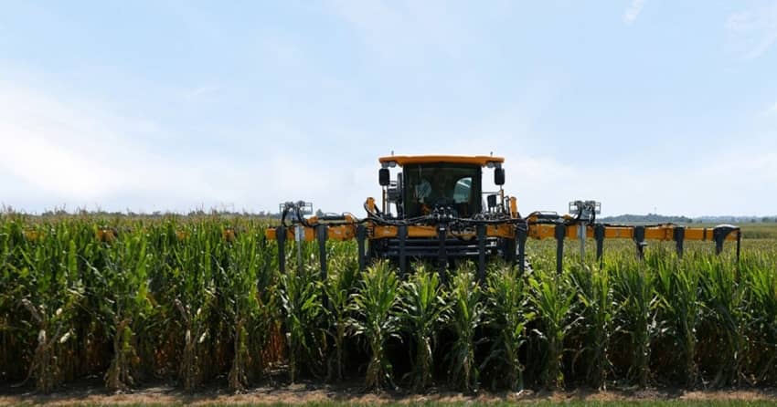  Gene Editing: Pairwise and Bayer start new five-year multi-million Dollar collaboration to further advance short-stature corn