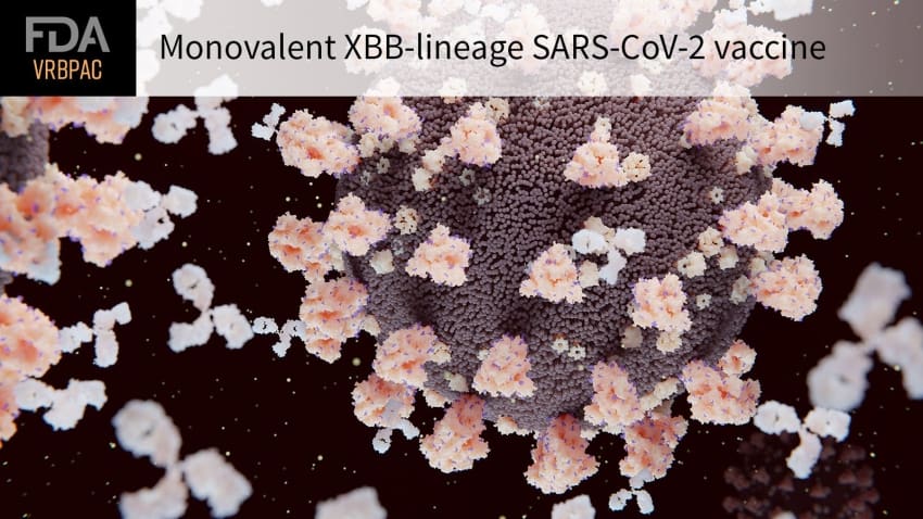  Next COVID Vaccine Should Only Target XBB Strains, FDA Staff Says